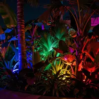 شب‌گردی گرمسیری