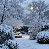 باغ زمستانی