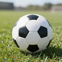 Футбольный мяч