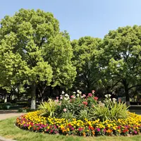 Летний солнечный день