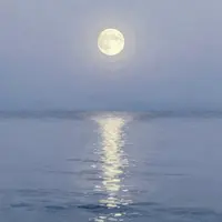 ผิวน้ำใต้แสงจันทร์