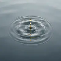 ระลอกคลื่นน้ำ