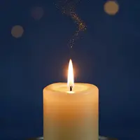 Шамъи тиллоӣ