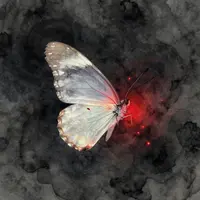 پروانه مرموز