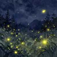 Lucciole nella notte