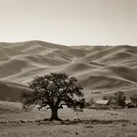 Spokojne krajobrazy natury