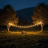 Prairie de montagne nocturne