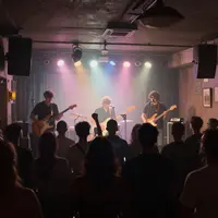 لائیو میوزک وینیو