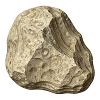 Nghệ thuật khoa học