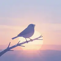 Sunrise Birds