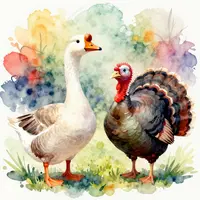 Ғоз ва мурғи марҷон