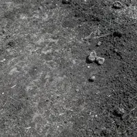 Пепел и сажа