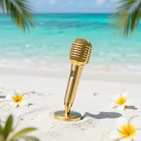 Beach Microphone