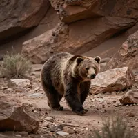 Kanyon yovvoyi tabiat