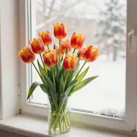 Tulips In Winter