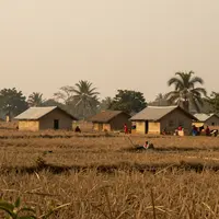 Rural Bengal