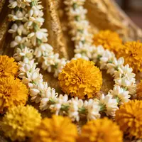 Marigold And Jasmine