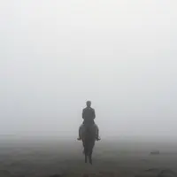 Sining ng Nag-iisang Mangangabayo