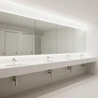 جدید عوامی بیت الخلا