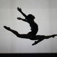 Спортивная гимнастика