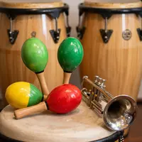 سازهای سالسا