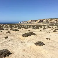 اوتبک استرالیا