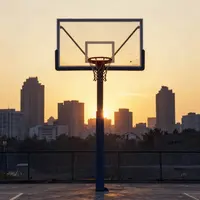 حلقه بسکتبال تنها