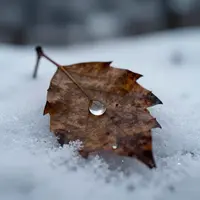 جزئیات طبیعت