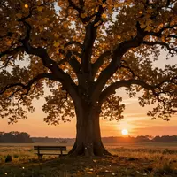 Пейзаж на юбилей