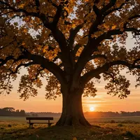 منظره طبیعت الهام‌بخش