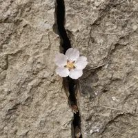 زندگی و قانون