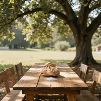 Makan di Luar Ruangan