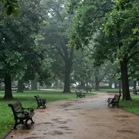 مناظر پارک قدیمی