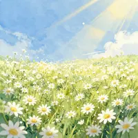 Daisy Field