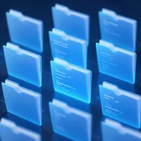 Ұйымдастырылған жад