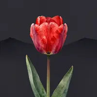 Seni tulip merah layu