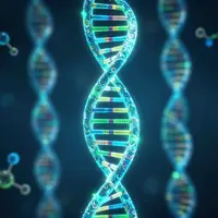 डीएनए और आनुवंशिकी
