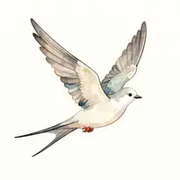 Изящная птица