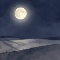 Moonlight Scene