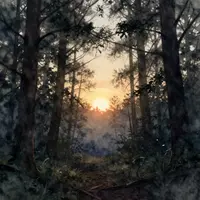 Floresta ao amanhecer