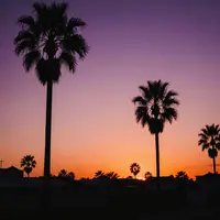 ونٹیج غروبِ آفتاب