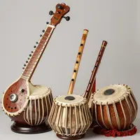 سازهای هندی