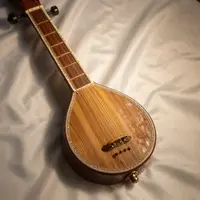 Instrumentet Sitar
