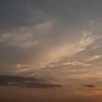 ओरिएंटल पैटर्न