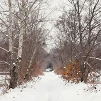 مناظر الثلج الأول