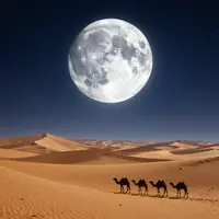 اونٹوں کا قافلہ