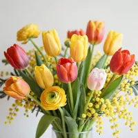 Lalele ranunculus mimoză