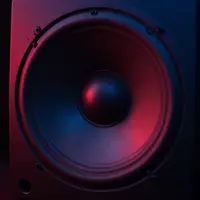 רמקול באס מקרוב