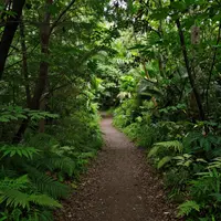 مسیرهای دیدنی