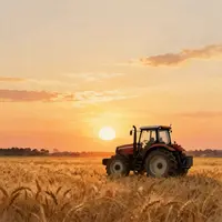 Krajina farmy při západu slunce